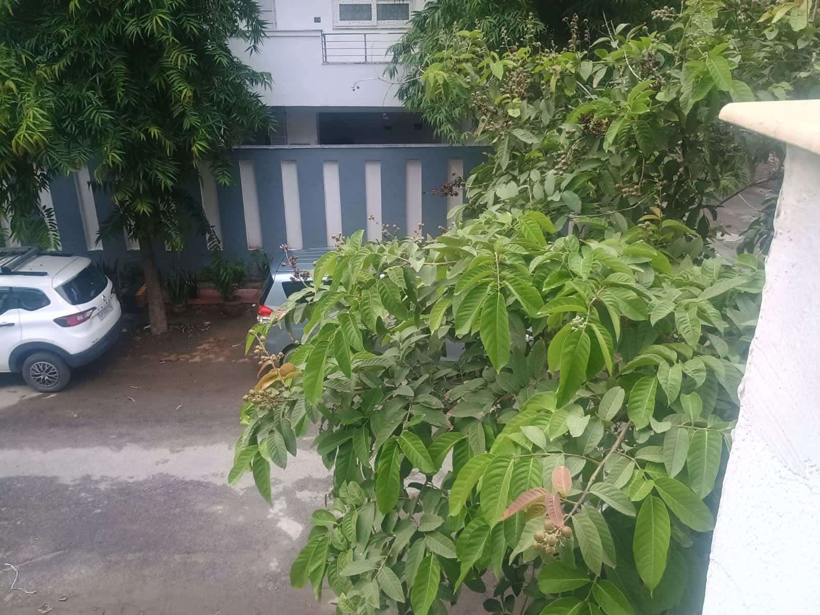 Plot For Sale In Noida